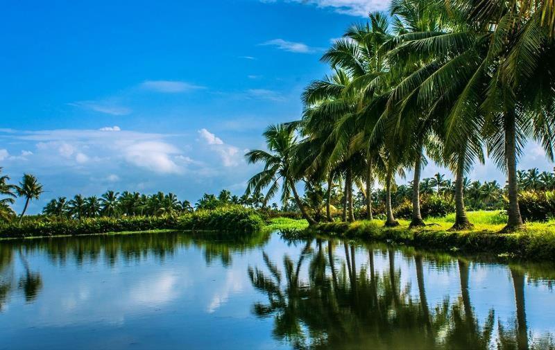 Sea Breeze Beach Home Alappuzha Exteriör bild
