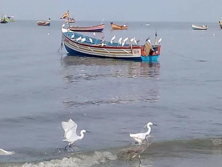 Sea Breeze Beach Home Alappuzha Exteriör bild